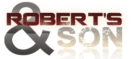 the robson logo.png