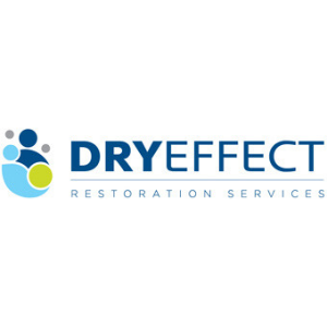 Dry Effect Logo.png